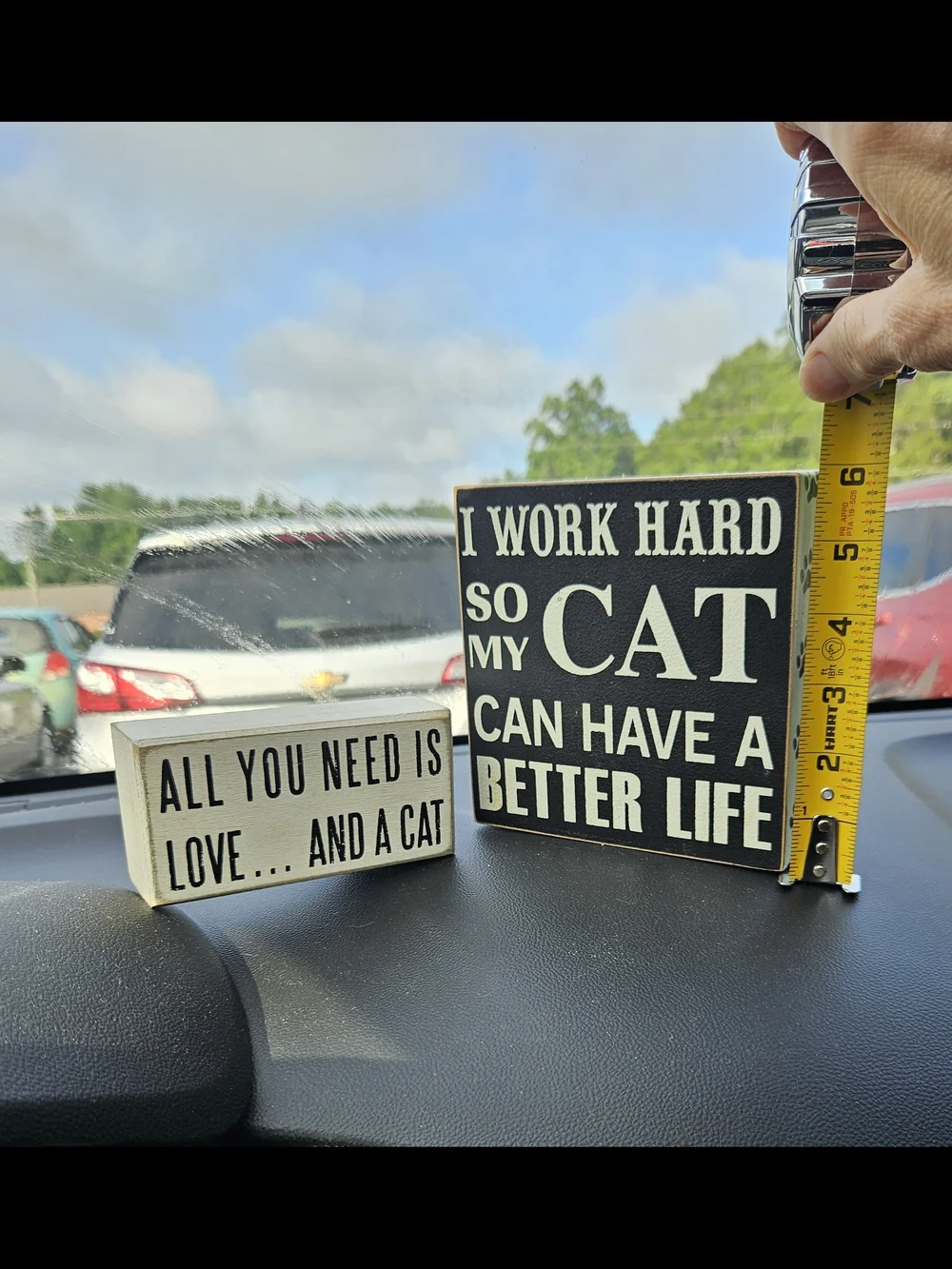 RUSTIC Wooden Cat Box Sign Duo - Set of 2 Primitives by Kathy & Pan's Craft